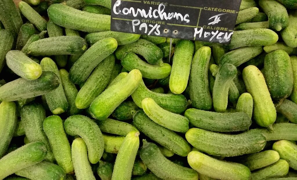 Fascinating Facts About Pickles All You Need to Know Facts Vibes