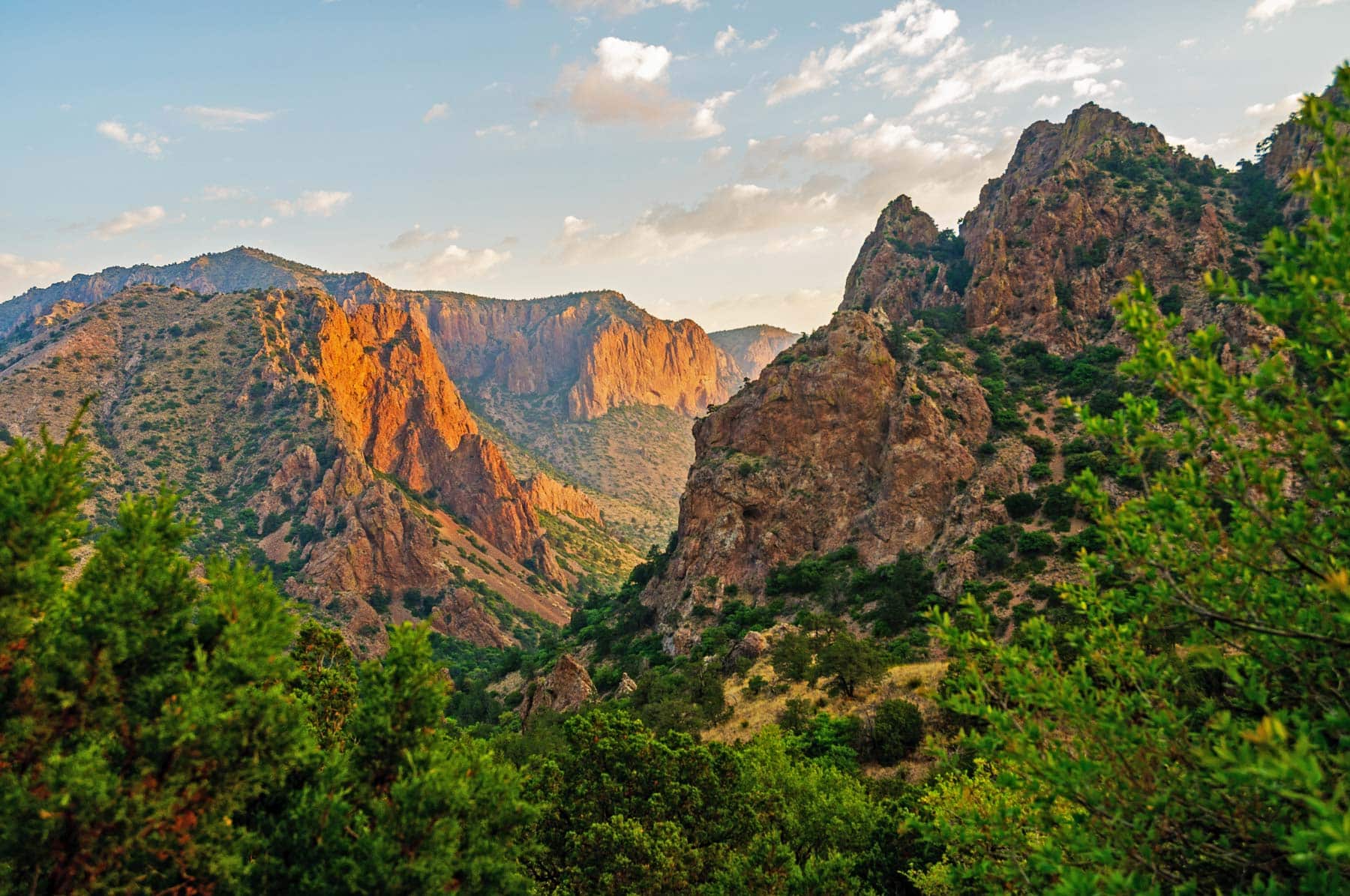 Exploring the Fascinating Facts of Big Bend National Park - Facts Vibes