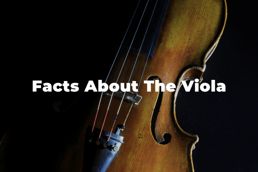 The Fascinating Facts About the Viola Instrument Facts Vibes